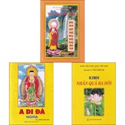 Combo Kinh Vu Lan Và Báo Hiếu + Kinh A Di Đà Nghĩa + Kinh Nhân Quả Ba Đời (Bộ 3 Quyển)